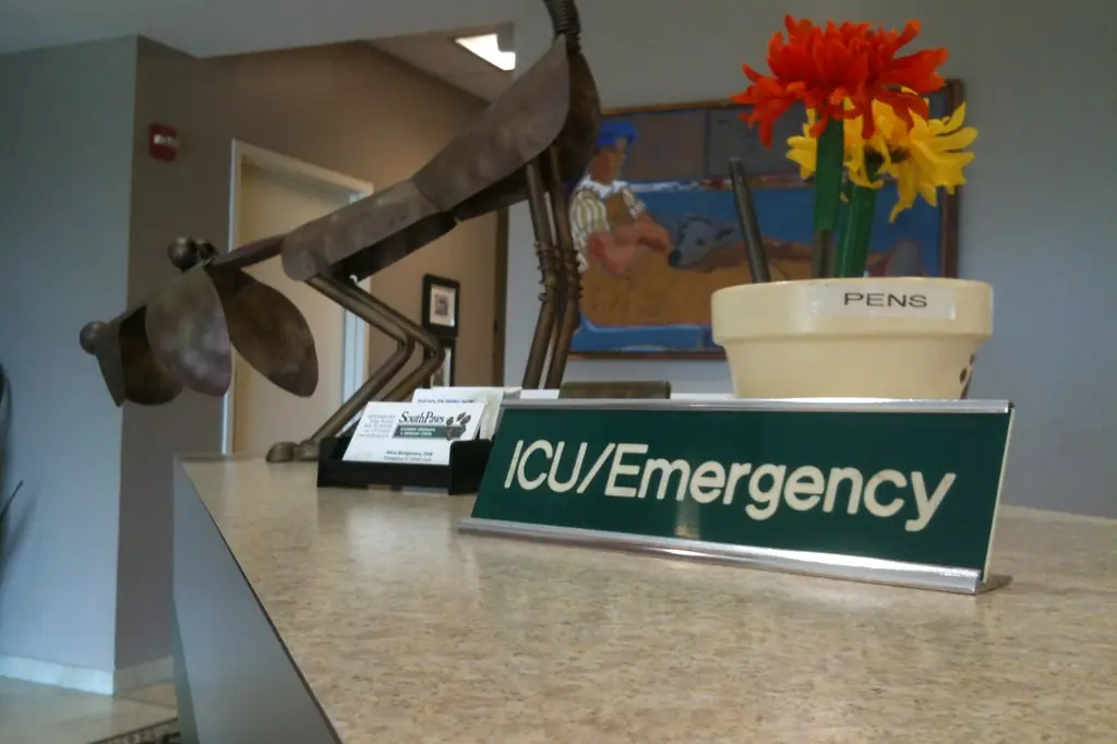 The ICU and emergency desk at a veterinary hospital